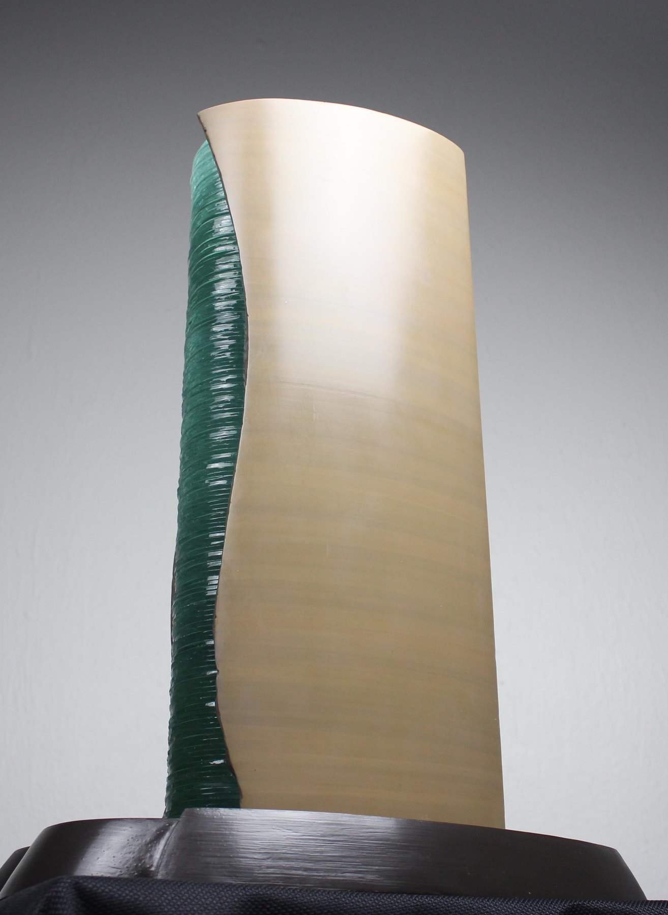 The model, the curved back of the stone shell